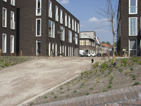 907762 Afbeelding van de onlangs aangelegde groenvoorziening, bij de nieuwe woningen aan de Anthoniedijk-Vinkenkade te ...